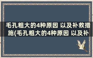 毛孔粗大的4种原因 以及补救措施(毛孔粗大的4种原因 以及补救措施有哪些)